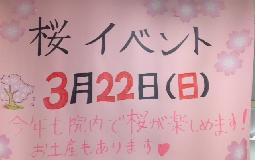 桜イベント２０２０のお知らせ！